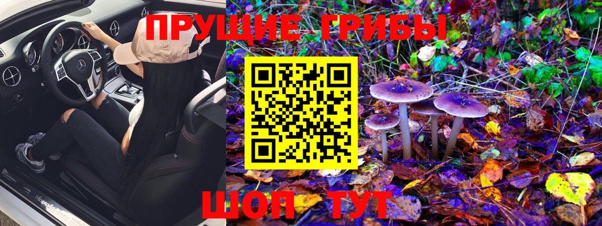 Галлюциногенные грибы Magic Shrooms  Псилоцибиновые грибы Magic Shrooms  наркотики  Вход с VPN  Трёхгорный 