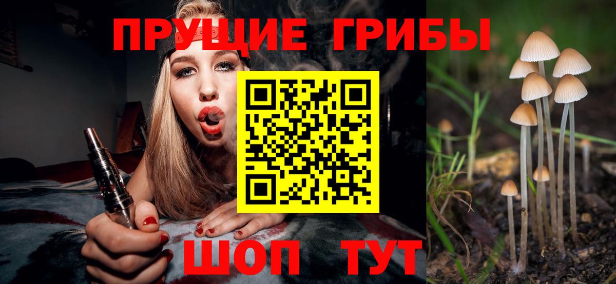 Псилоцибиновые грибы GOLDEN TEACHER Трёхгорный